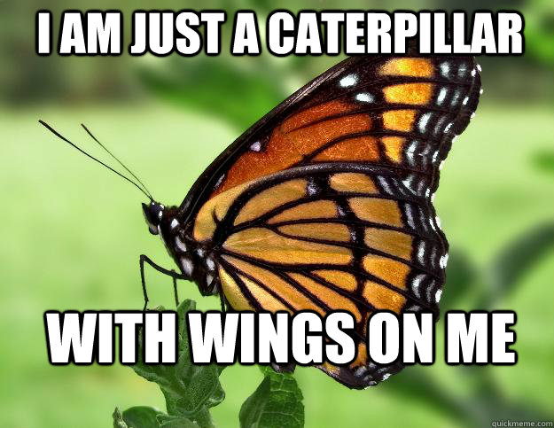 I am just a caterpillar with wings on me  Confused Butterfly
