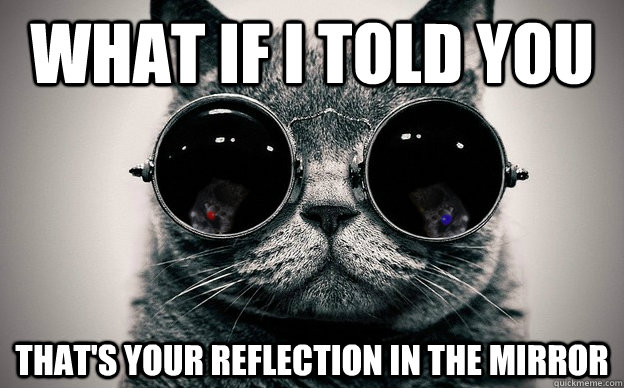 What if i told you that's your reflection in the mirror  Cat morpheus plus paws