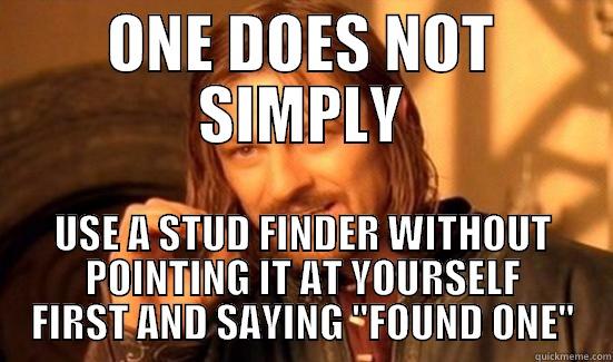 ONE DOES NOT SIMPLY USE A STUD FINDER WITHOUT POINTING IT AT YOURSELF FIRST AND SAYING 