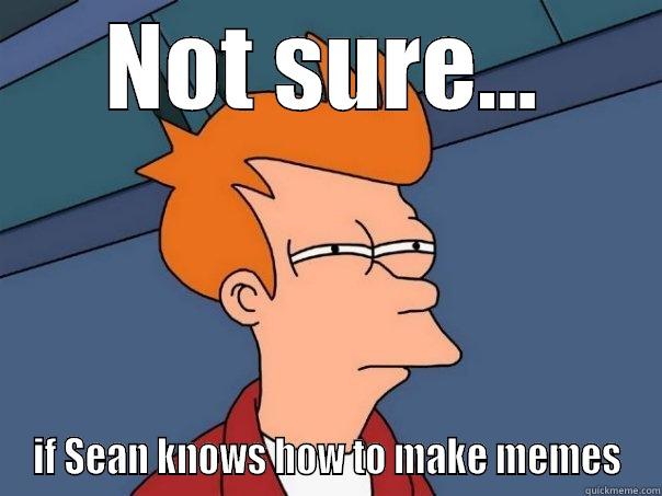 NOT SURE... IF SEAN KNOWS HOW TO MAKE MEMES Futurama Fry