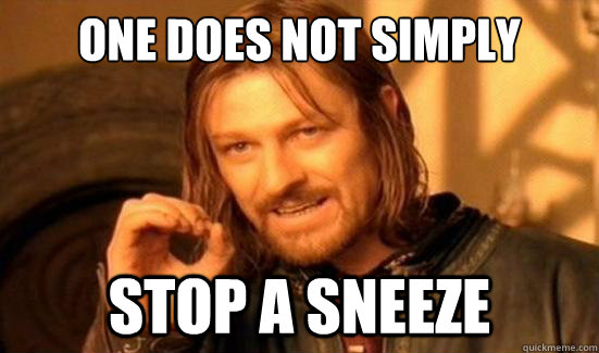 One Does Not Simply Stop A Sneeze - One Does Not Simply Stop A Sneeze  Boromir