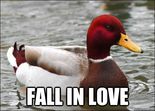  fall in love  Malicious Advice Mallard