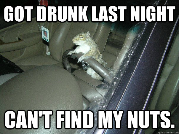 Got drunk last night Can't find my nuts.  Drunk Squirrel