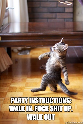  Party Instructions: Walk in. Fuck shit up. Walk out  Pimp Strut Cat