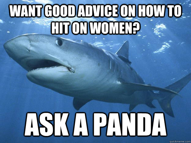 want good advice on how to hit on women? ask a panda - want good advice on how to hit on women? ask a panda  Shitty Life Pro-Tips Shark
