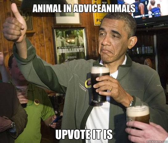 Animal in AdviceAnimals Upvote it is  Approving Obama