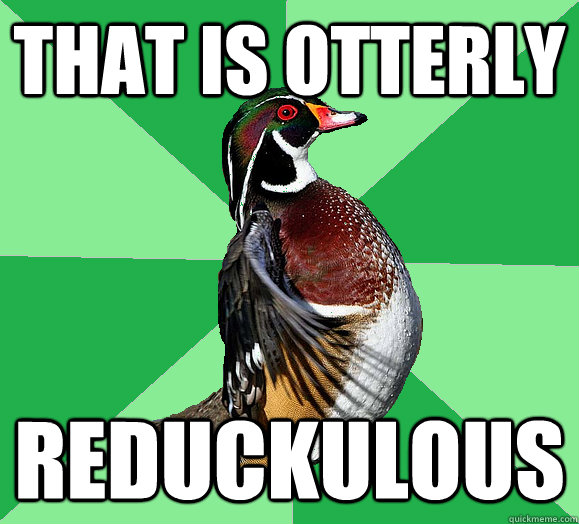 That is Otterly Reduckulous  Overly Organic Wood Duck