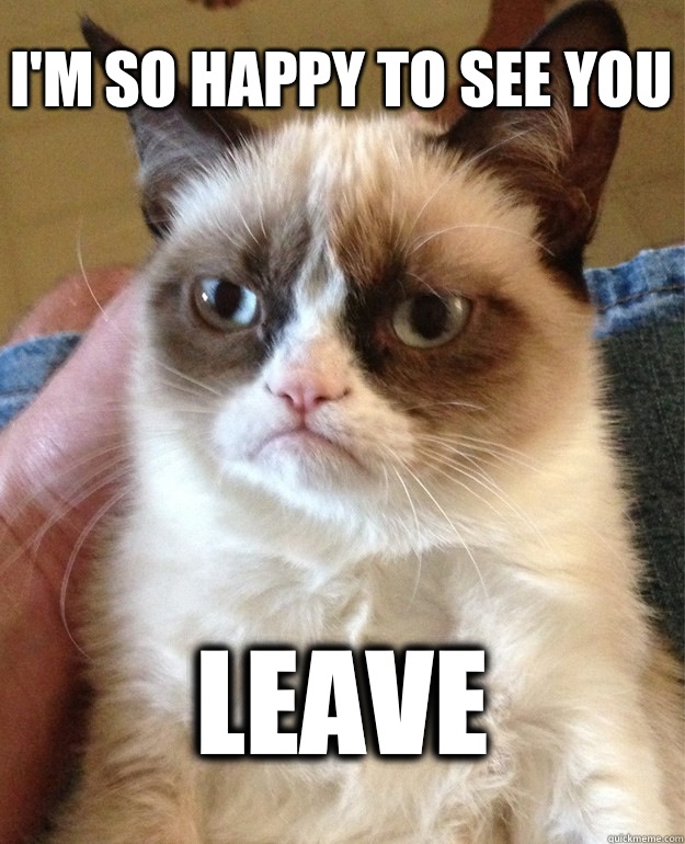 I'm so happy to see you Leave  Grumpy Cat