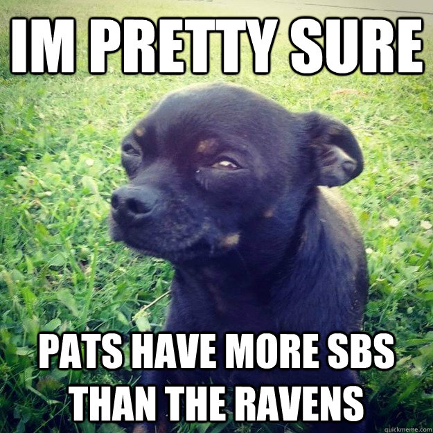 IM PRETTY SURE Pats have more SBs than the Ravens  Skeptical Dog