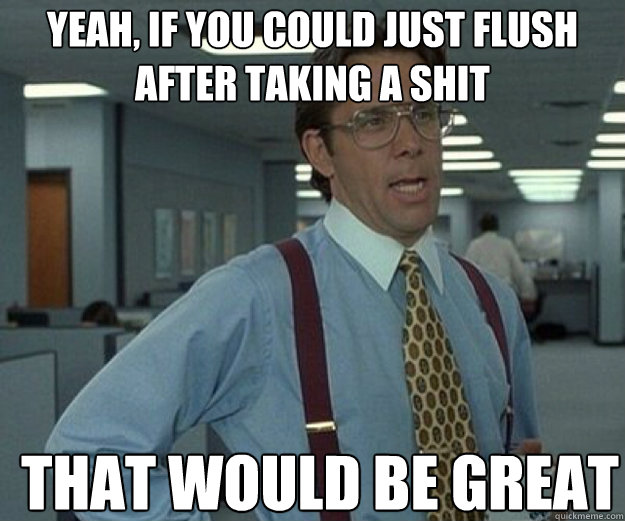 yeah, if you could just flush after taking a shit THAT WOULD BE GREAT  that would be great