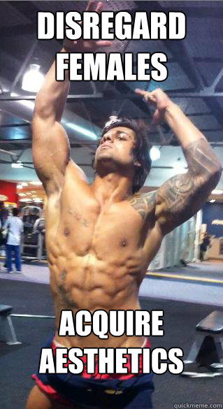 Disregard Females Acquire Aesthetics - Disregard Females Acquire Aesthetics  Zyzz Speaks the Truth