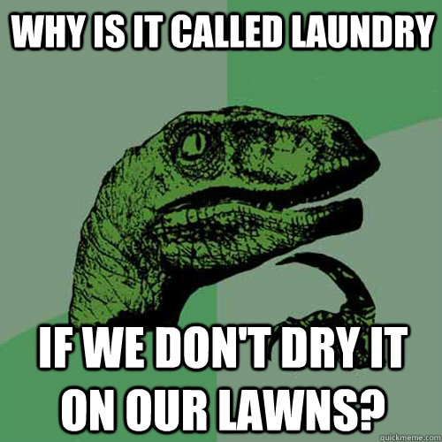 Why is it called laundry If we don't dry it on our lawns?  Philosoraptor