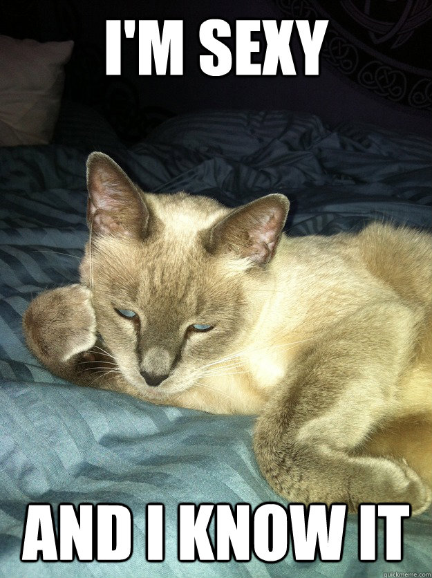 I'm sexy and i know it  