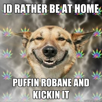 id rather be at home puffin robane and kickin it - id rather be at home puffin robane and kickin it  Stoner Dog