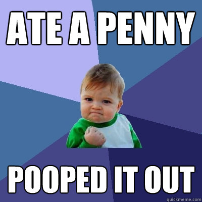 ate a penny pooped it out  Success Kid