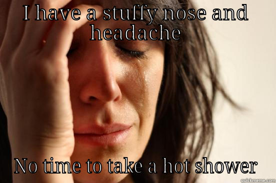 I HAVE A STUFFY NOSE AND HEADACHE NO TIME TO TAKE A HOT SHOWER First World Problems