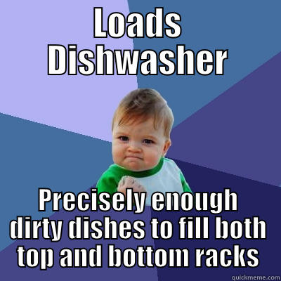 LOADS DISHWASHER PRECISELY ENOUGH DIRTY DISHES TO FILL BOTH TOP AND BOTTOM RACKS Success Kid