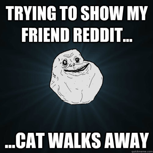 trying to show my friend reddit... ...cat walks away  Forever Alone