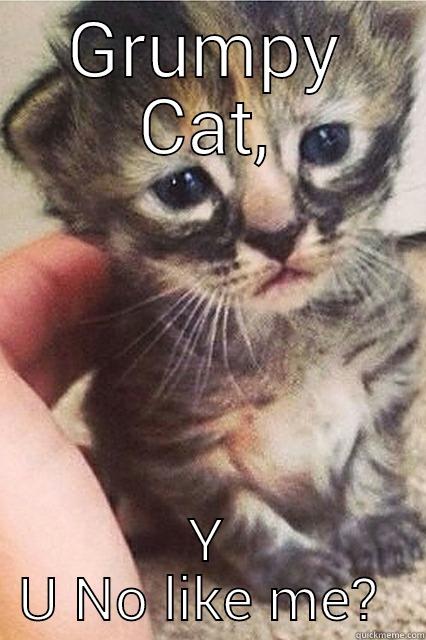 GRUMPY CAT, Y U NO LIKE ME?  Misc