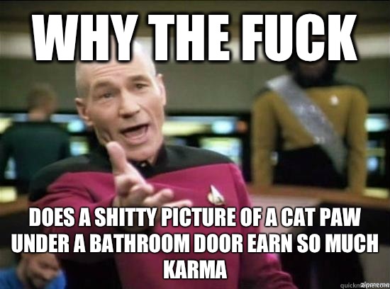 Why the fuck Does a shitty picture of a cat paw under a bathroom door earn so much karma  Annoyed Picard HD