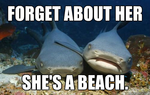Forget about her She's a beach.  Compassionate Shark Friend