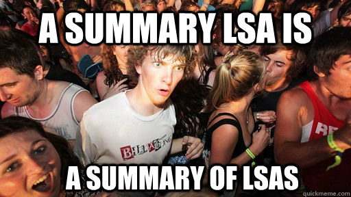 A Summary LSA is a summary of LSAs  Sudden Clarity Clarence