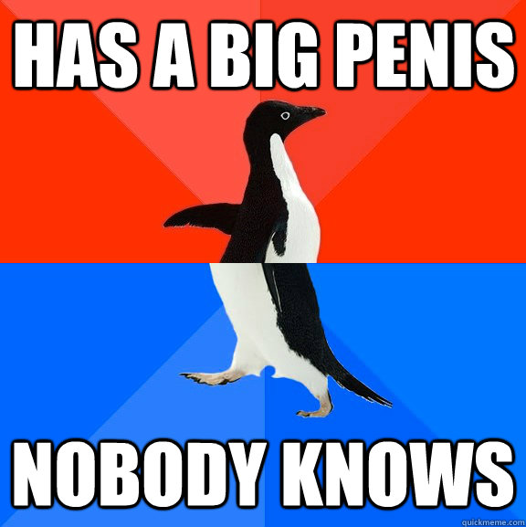 Has a Big Penis Nobody knows  Socially Awesome Awkward Penguin