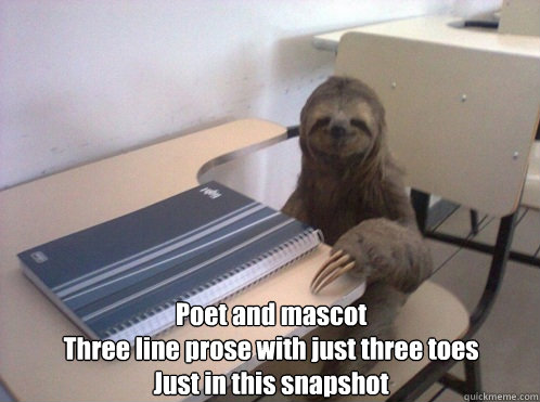 Poet and mascot
Three line prose with just three toes
Just in this snapshot - Poet and mascot
Three line prose with just three toes
Just in this snapshot  The Haiku Sloth