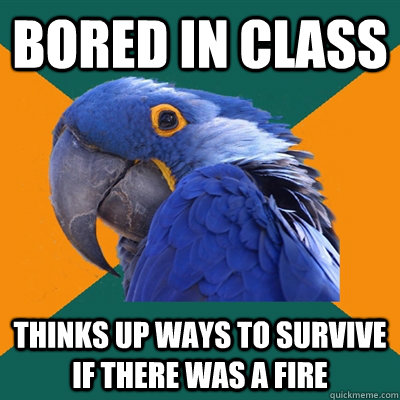 bored in class thinks up ways to survive if there was a fire  Paranoid Parrot