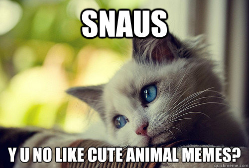 Snaus Y u no like cute animal memes? - Snaus Y u no like cute animal memes?  First World Problems Cat