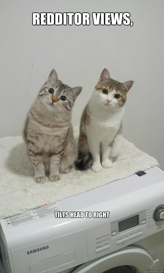 redditor views,  tilts head to right   like clockwork