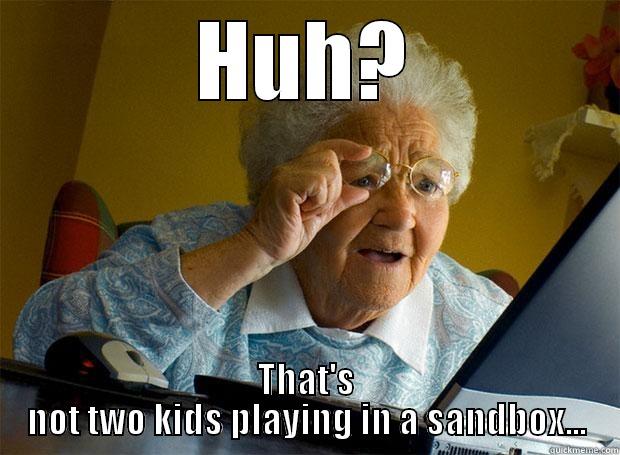 HUH? THAT'S NOT TWO KIDS PLAYING IN A SANDBOX... Grandma finds the Internet