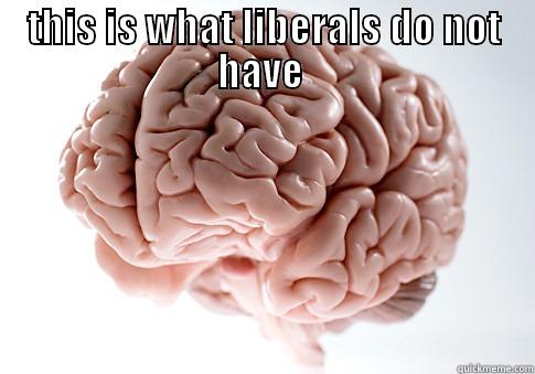 libs dont have one - THIS IS WHAT LIBERALS DO NOT HAVE   Scumbag Brain