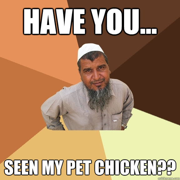 have you... seen my pet chicken??  Ordinary Muslim Man