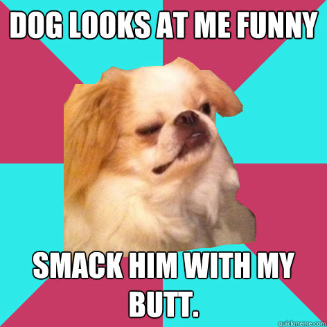 DOG LOOKS AT ME FUNNY SMACK HIM WITH MY BUTT.  Derp Dog