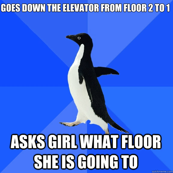 goes down the elevator from floor 2 to 1 asks girl what floor she is going to  Socially Awkward Penguin