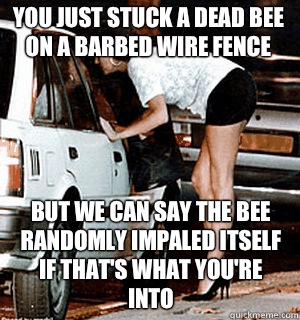 You just stuck a dead bee on a barbed wire fence But we can say the bee randomly impaled itself if that's what you're into  Karma Whore