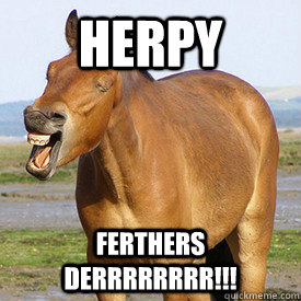 HERPY  FERTHERS DERRRRRRRR!!! - HERPY  FERTHERS DERRRRRRRR!!!  Confused horse