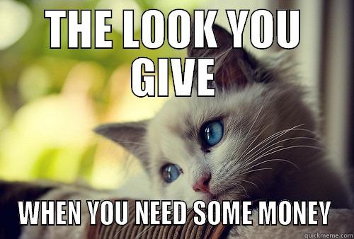 THE LOOK YOU GIVE WHEN YOU NEED SOME MONEY First World Problems Cat