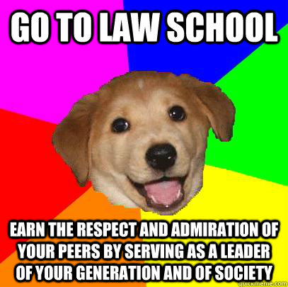 go to law school earn the respect and admiration of your peers by serving as a leader of your generation and of society  Advice Dog