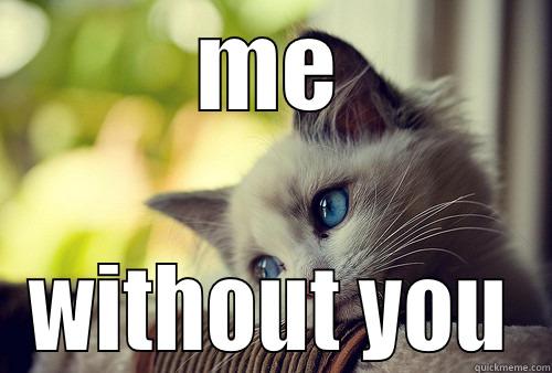 ME WITHOUT YOU First World Problems Cat