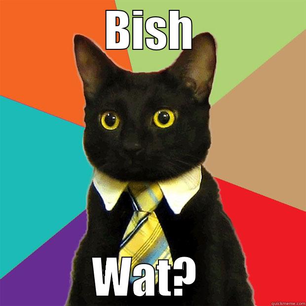 BISH WAT?  Business Cat