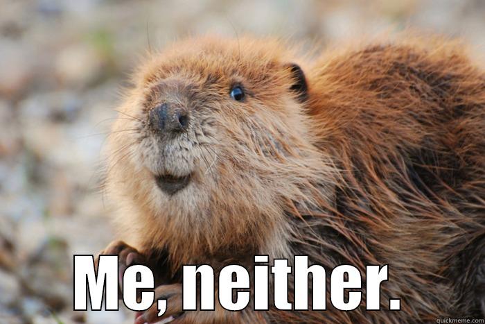Smiling Beaver, Me either -  ME, NEITHER. Misc