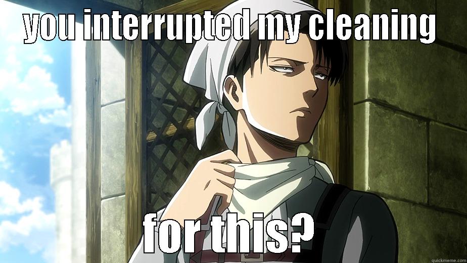 YOU INTERRUPTED MY CLEANING FOR THIS? Misc