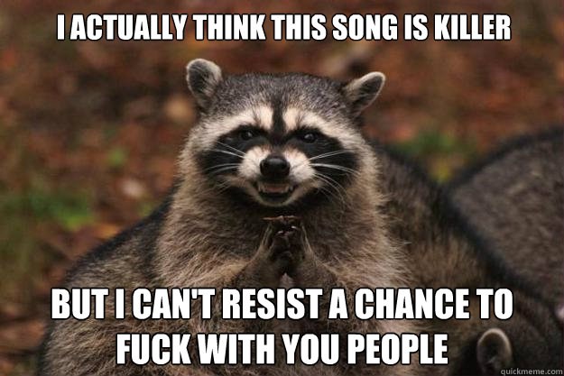 I actually think this song is killer but I can't resist a chance to fuck with you people  Evil Plotting Raccoon