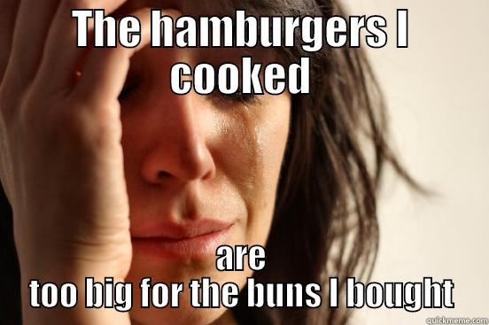 3213  dsdcdsdcxds - THE HAMBURGERS I COOKED ARE TOO BIG FOR THE BUNS I BOUGHT First World Problems