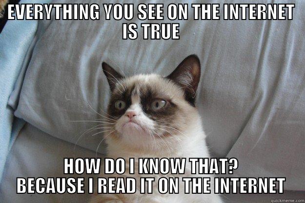 THE INTERNET IS TRUE - EVERYTHING YOU SEE ON THE INTERNET IS TRUE HOW DO I KNOW THAT? BECAUSE I READ IT ON THE INTERNET Grumpy Cat