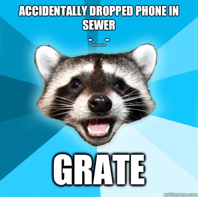 Accidentally dropped phone in sewer
-__- Grate  Lame Pun Coon