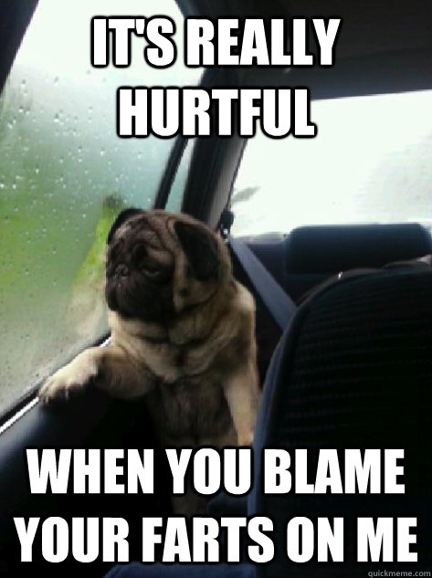 it's really hurtful when you blame your farts on me - it's really hurtful when you blame your farts on me  Introspective Pug