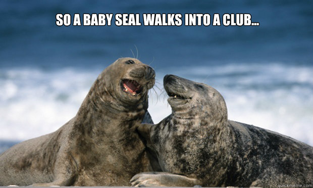 SO A BABY SEAL WALKS INTO A CLUB...  